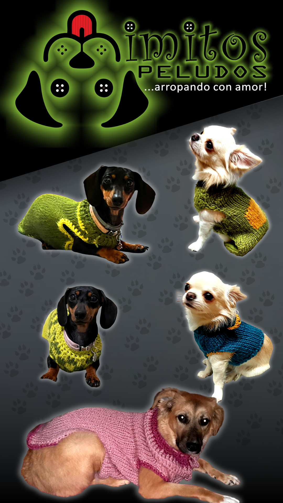 ropa para mascotas, juguetes, camas, arnes, cama
